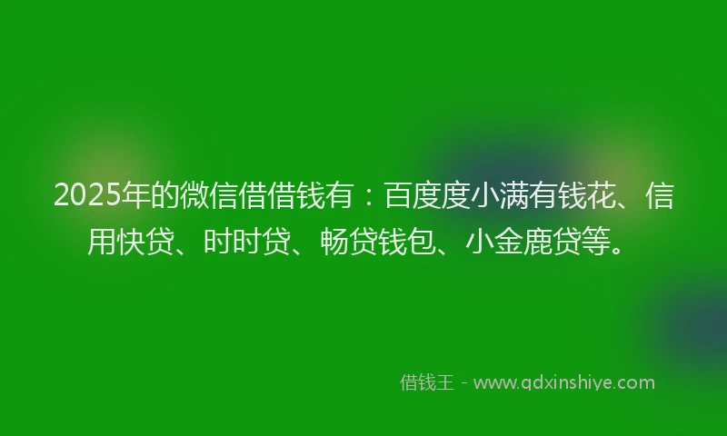 2025年的微信借借钱有：百度度小满有钱花、信用快贷、时时贷、畅贷钱包、小金鹿贷等。