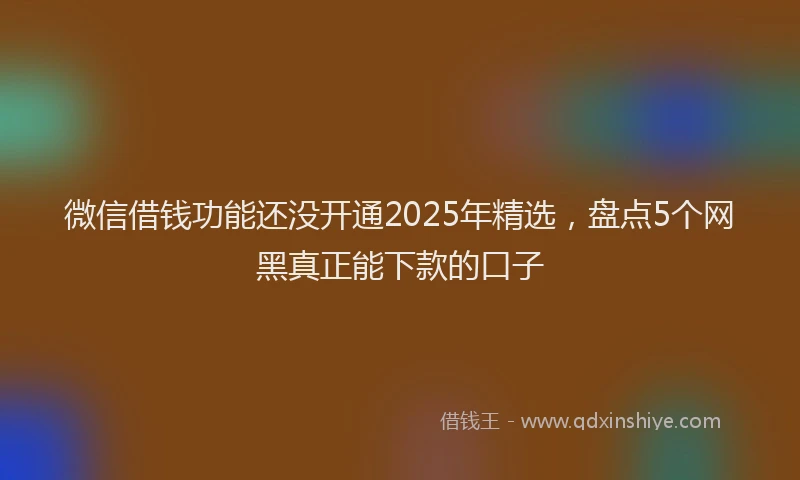 微信借钱功能还没开通2025年精选，盘点5个网黑真正能下款的口子