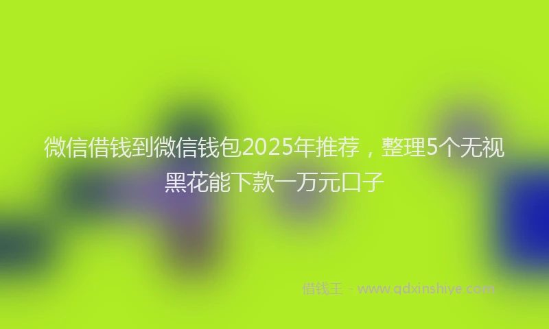 微信借钱到微信钱包2025年推荐，整理5个无视黑花能下款一万元口子
