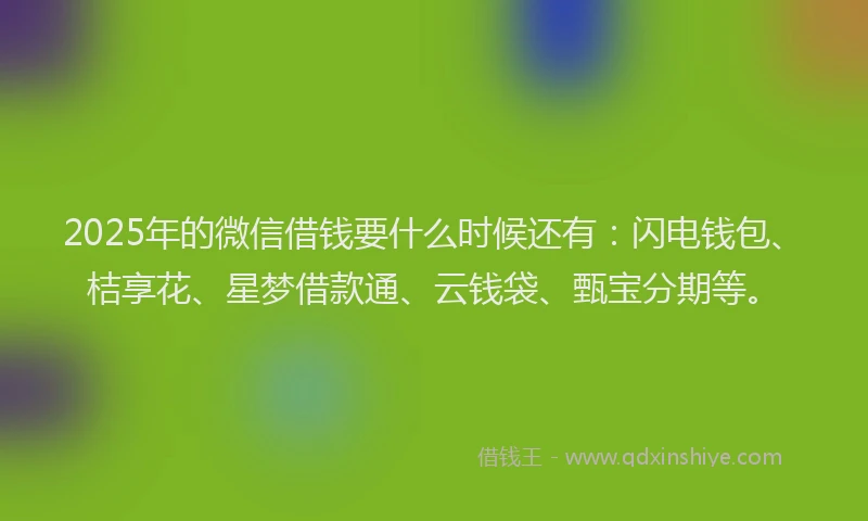2025年的微信借钱要什么时候还有：闪电钱包、桔享花、星梦借款通、云钱袋、甄宝分期等。