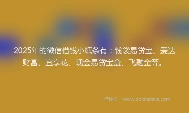 2025年的微信借钱小纸条有：钱袋易贷宝、爱达财富、宜享花、现金易贷宝盒、飞融金等。