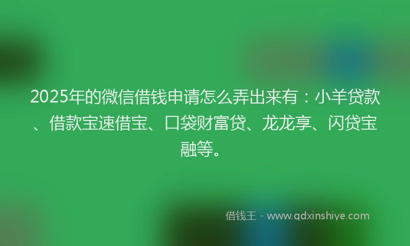 2025年的微信借钱申请怎么弄出来有：小羊贷款、借款宝速借宝、口袋财富贷、龙龙享、闪贷宝融等。