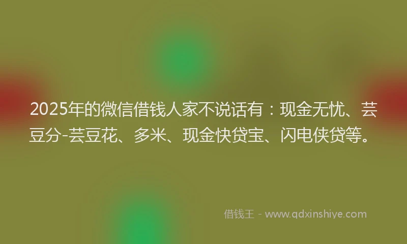 2025年的微信借钱人家不说话有：现金无忧、芸豆分-芸豆花、多米、现金快贷宝、闪电侠贷等。