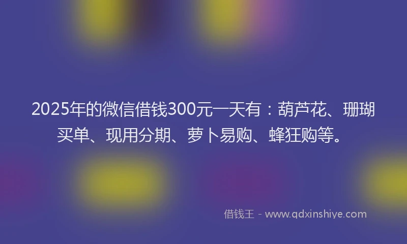 2025年的微信借钱300元一天有：葫芦花、珊瑚买单、现用分期、萝卜易购、蜂狂购等。