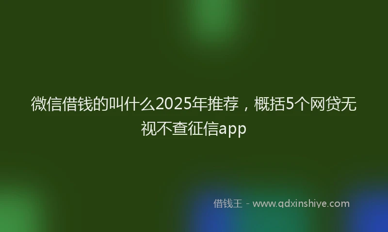 微信借钱的叫什么2025年推荐，概括5个网贷无视不查征信app