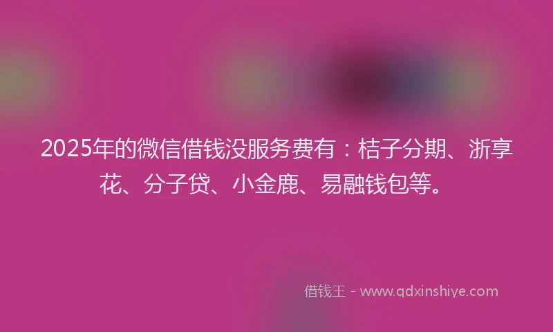 2025年的微信借钱没服务费有：桔子分期、浙享花、分子贷、小金鹿、易融钱包等。