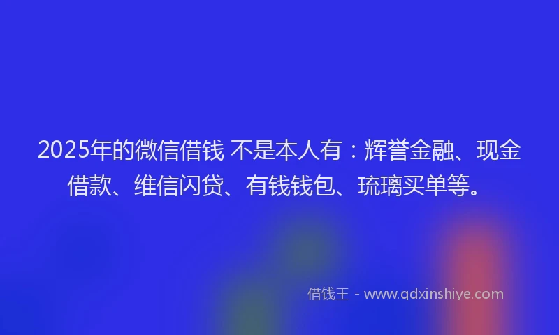 2025年的微信借钱 不是本人有：辉誉金融、现金借款、维信闪贷、有钱钱包、琉璃买单等。