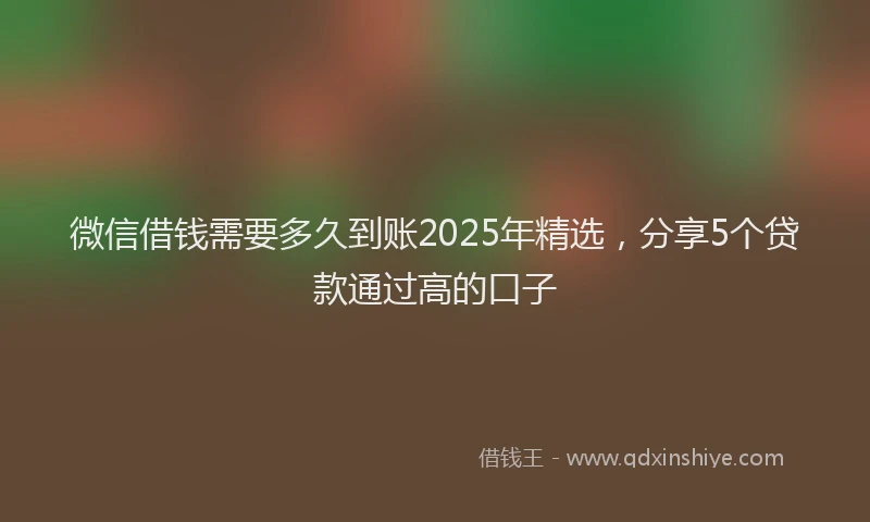 微信借钱需要多久到账2025年精选，分享5个贷款通过高的口子