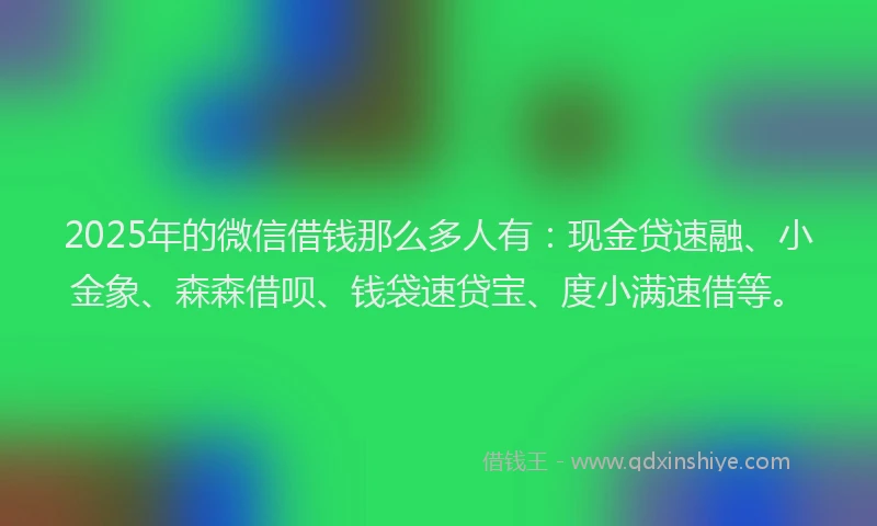 2025年的微信借钱那么多人有：现金贷速融、小金象、森森借呗、钱袋速贷宝、度小满速借等。