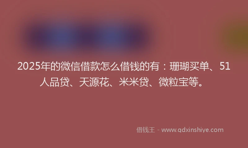 2025年的微信借款怎么借钱的有：珊瑚买单、51人品贷、天源花、米米贷、微粒宝等。