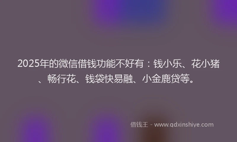 2025年的微信借钱功能不好有：钱小乐、花小猪、畅行花、钱袋快易融、小金鹿贷等。