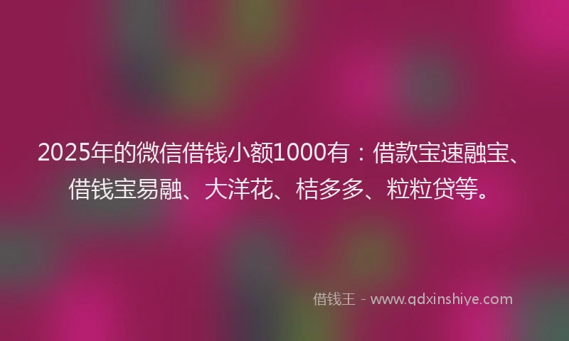 2025年的微信借钱小额1000有：借款宝速融宝、借钱宝易融、大洋花、桔多多、粒粒贷等。