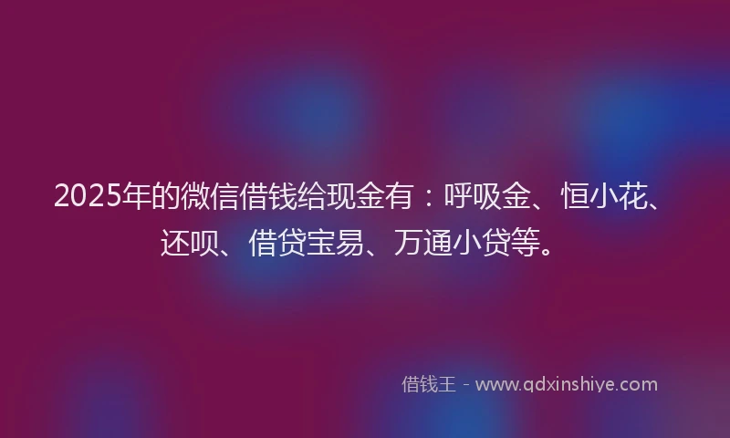 2025年的微信借钱给现金有：呼吸金、恒小花、还呗、借贷宝易、万通小贷等。