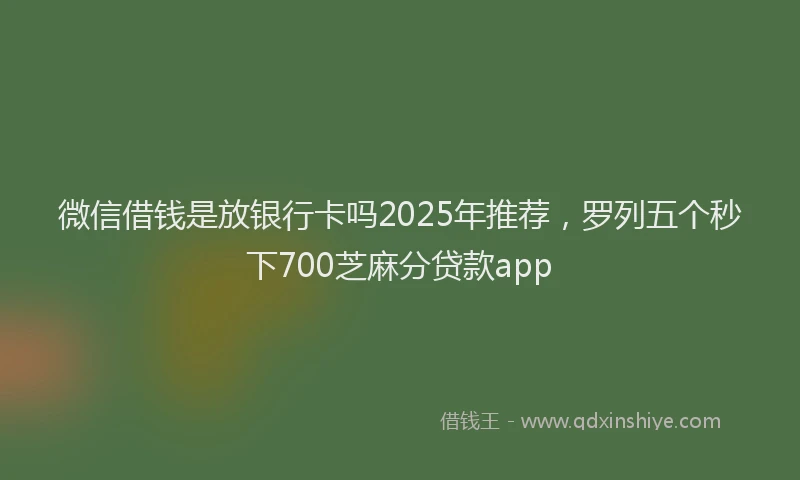 微信借钱是放银行卡吗2025年推荐，罗列五个秒下700芝麻分贷款app