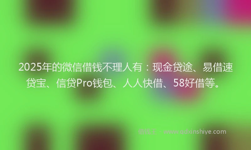 2025年的微信借钱不理人有：现金贷途、易借速贷宝、信贷Pro钱包、人人快借、58好借等。