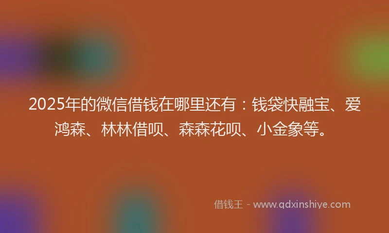 2025年的微信借钱在哪里还有：钱袋快融宝、爱鸿森、林林借呗、森森花呗、小金象等。