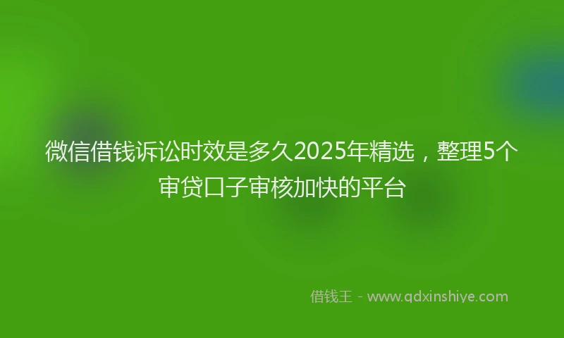 微信借钱诉讼时效是多久2025年精选，整理5个审贷口子审核加快的平台