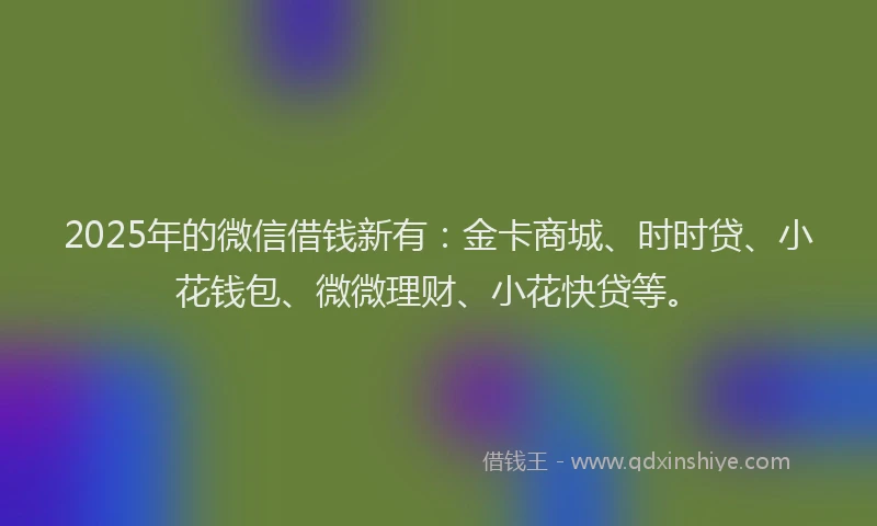 2025年的微信借钱新有：金卡商城、时时贷、小花钱包、微微理财、小花快贷等。