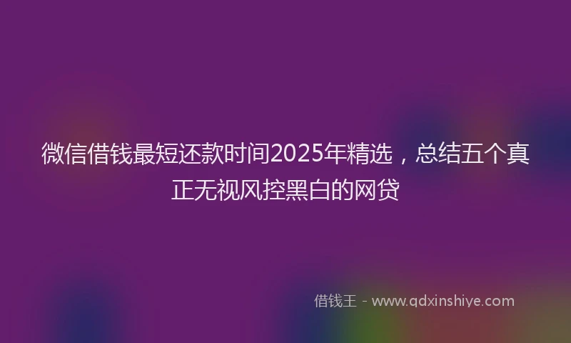 微信借钱最短还款时间2025年精选，总结五个真正无视风控黑白的网贷