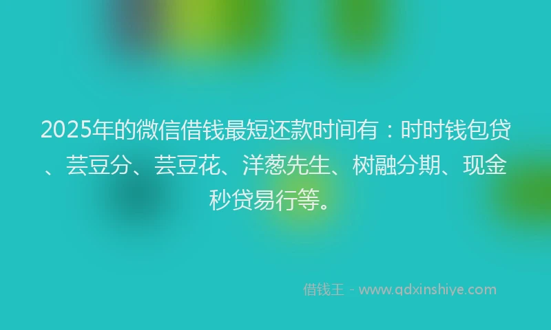 2025年的微信借钱最短还款时间有：时时钱包贷、芸豆分、芸豆花、洋葱先生、树融分期、现金秒贷易行等。