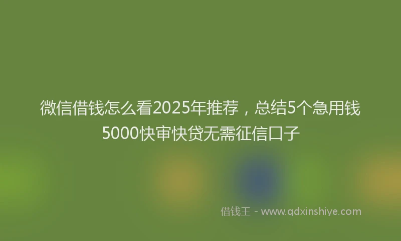 微信借钱怎么看2025年推荐，总结5个急用钱5000快审快贷无需征信口子