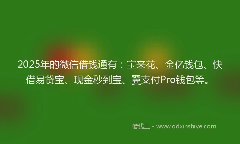 2025年的微信借钱通有：宝来花、金亿钱包、快借易贷宝、现金秒到宝、翼支付Pro钱包等。