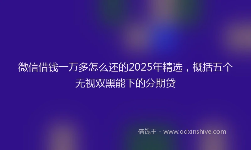 微信借钱一万多怎么还的2025年精选，概括五个无视双黑能下的分期贷