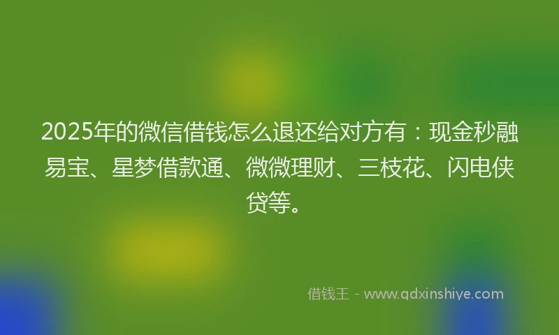 2025年的微信借钱怎么退还给对方有：现金秒融易宝、星梦借款通、微微理财、三枝花、闪电侠贷等。