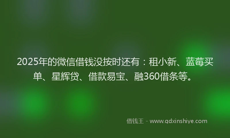 2025年的微信借钱没按时还有：租小新、蓝莓买单、星辉贷、借款易宝、融360借条等。