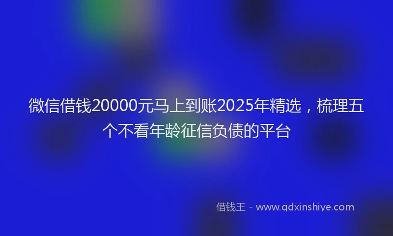 微信借钱20000元马上到账2025年精选，梳理五个不看年龄征信负债的平台
