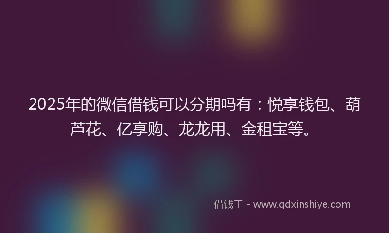 2025年的微信借钱可以分期吗有：悦享钱包、葫芦花、亿享购、龙龙用、金租宝等。