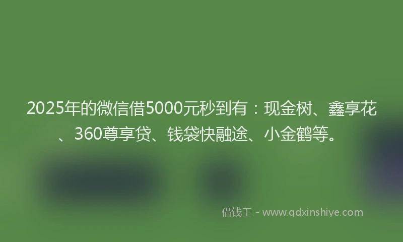 2025年的微信借5000元秒到有：现金树、鑫享花、360尊享贷、钱袋快融途、小金鹤等。
