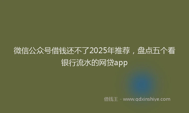 微信公众号借钱还不了2025年推荐，盘点五个看银行流水的网贷app