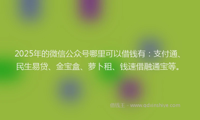 2025年的微信公众号哪里可以借钱有：支付通、民生易贷、金宝盒、萝卜租、钱速借融通宝等。