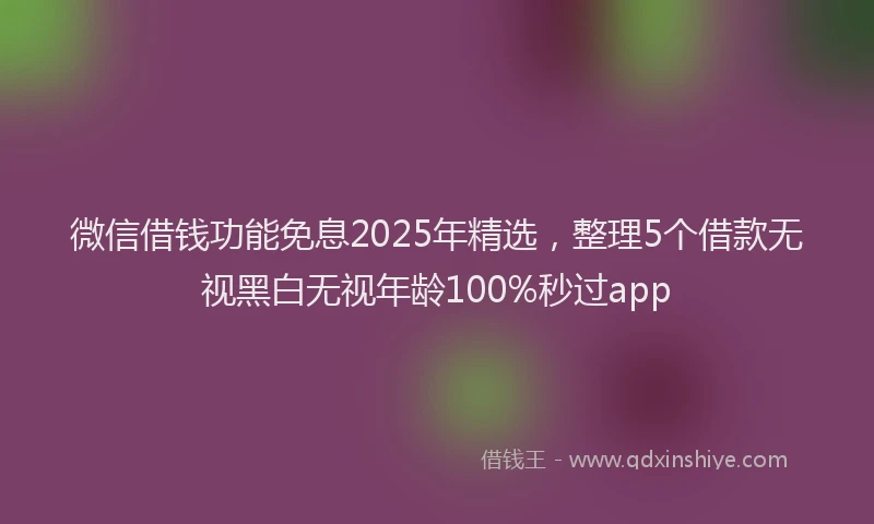 微信借钱功能免息2025年精选，整理5个借款无视黑白无视年龄100%秒过app