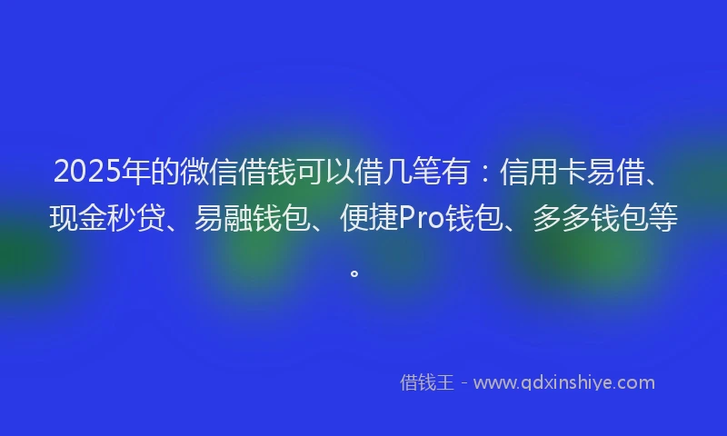 2025年的微信借钱可以借几笔有：信用卡易借、现金秒贷、易融钱包、便捷Pro钱包、多多钱包等。