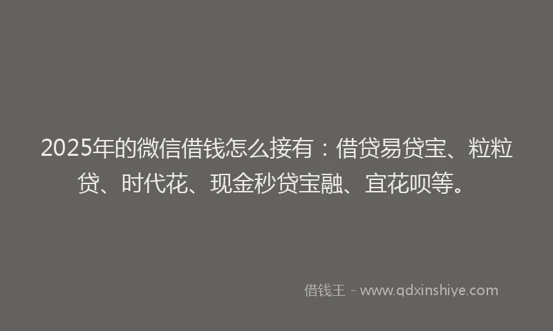 2025年的微信借钱怎么接有：借贷易贷宝、粒粒贷、时代花、现金秒贷宝融、宜花呗等。