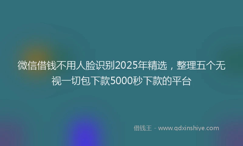 微信借钱不用人脸识别2025年精选，整理五个无视一切包下款5000秒下款的平台