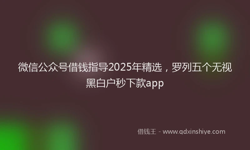微信公众号借钱指导2025年精选，罗列五个无视黑白户秒下款app