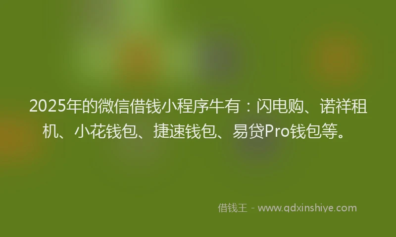 2025年的微信借钱小程序牛有：闪电购、诺祥租机、小花钱包、捷速钱包、易贷Pro钱包等。