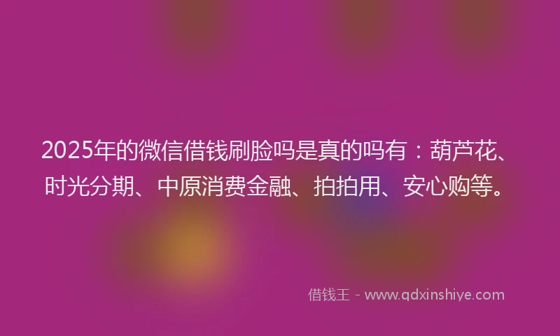 2025年的微信借钱刷脸吗是真的吗有：葫芦花、时光分期、中原消费金融、拍拍用、安心购等。