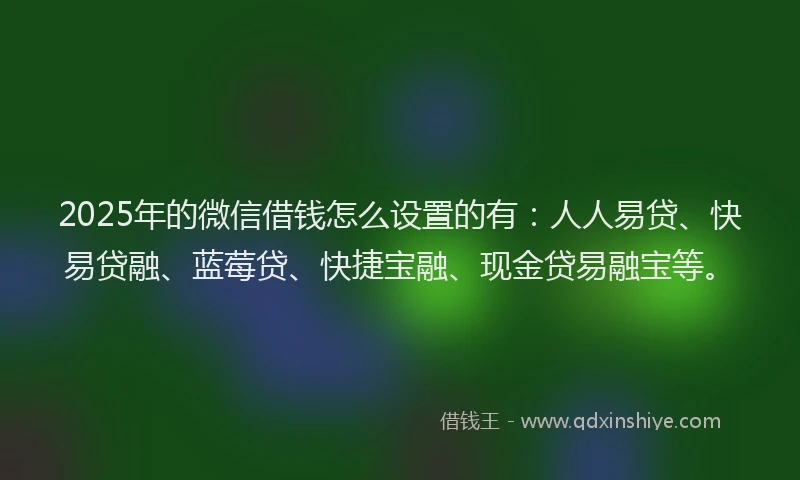 2025年的微信借钱怎么设置的有：人人易贷、快易贷融、蓝莓贷、快捷宝融、现金贷易融宝等。