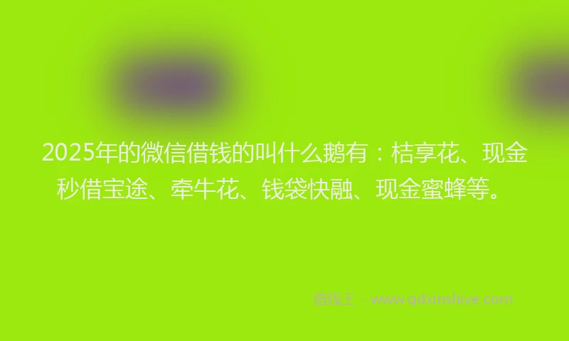 2025年的微信借钱的叫什么鹅有：桔享花、现金秒借宝途、牵牛花、钱袋快融、现金蜜蜂等。