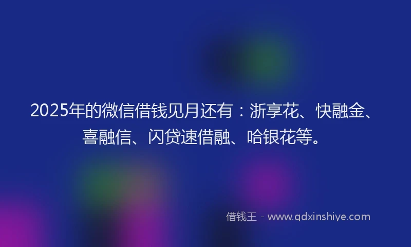 2025年的微信借钱见月还有：浙享花、快融金、喜融信、闪贷速借融、哈银花等。