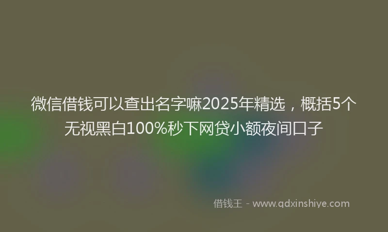 微信借钱可以查出名字嘛2025年精选，概括5个无视黑白100%秒下网贷小额夜间口子
