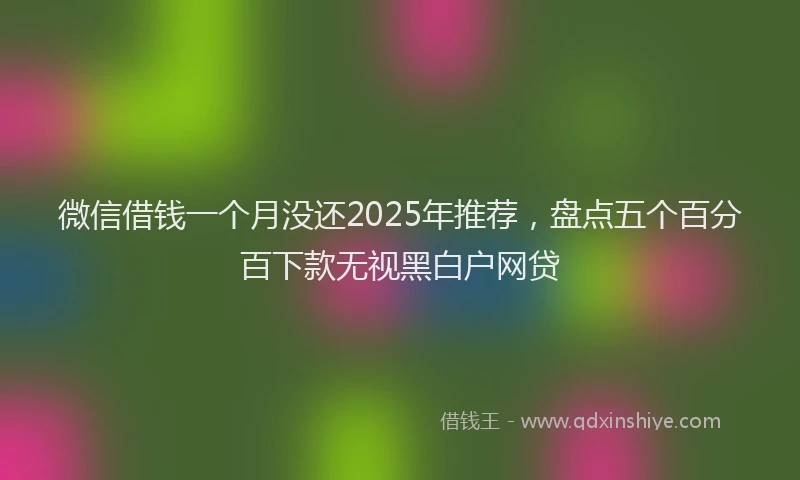 微信借钱一个月没还2025年推荐，盘点五个百分百下款无视黑白户网贷