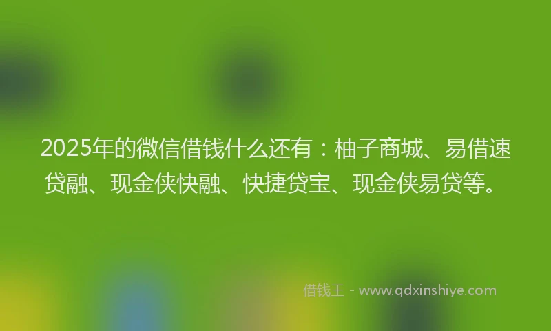 2025年的微信借钱什么还有：柚子商城、易借速贷融、现金侠快融、快捷贷宝、现金侠易贷等。