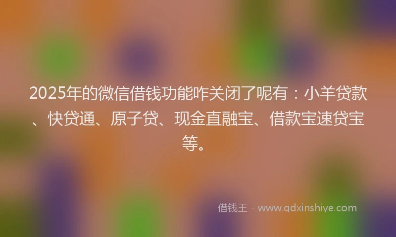 2025年的微信借钱功能咋关闭了呢有：小羊贷款、快贷通、原子贷、现金直融宝、借款宝速贷宝等。