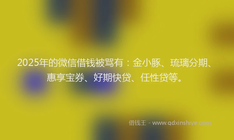 2025年的微信借钱被骂有：金小豚、琉璃分期、惠享宝券、好期快贷、任性贷等。