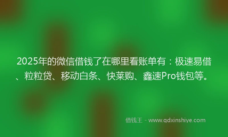 2025年的微信借钱了在哪里看账单有：极速易借、粒粒贷、移动白条、快莱购、鑫速Pro钱包等。
